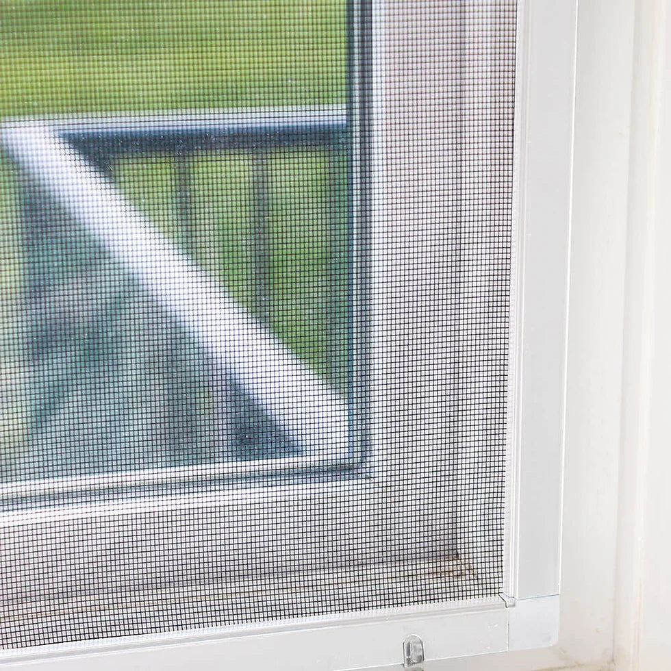 Interior & Exterior Window Cleaning