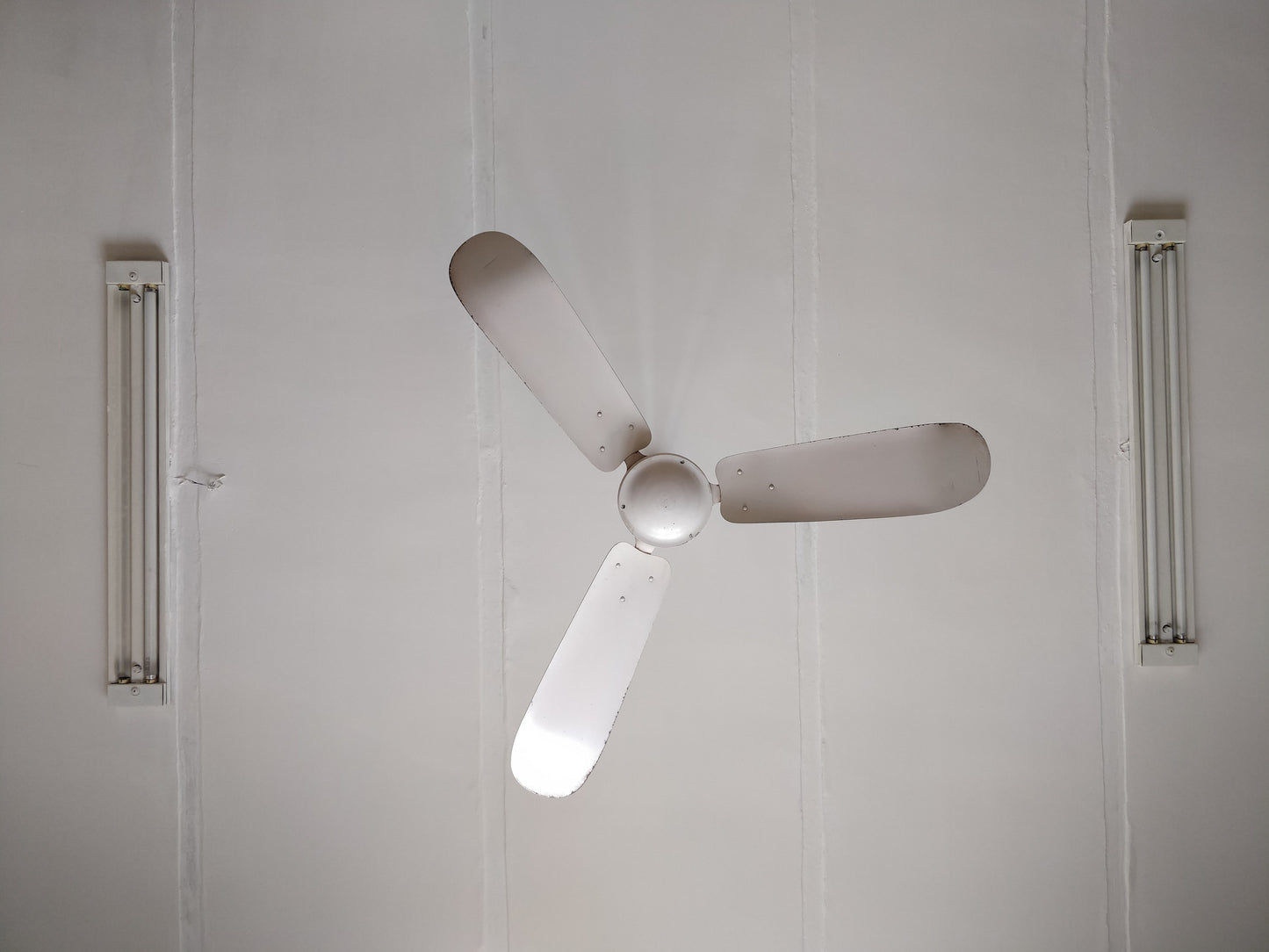 Ceiling Fans