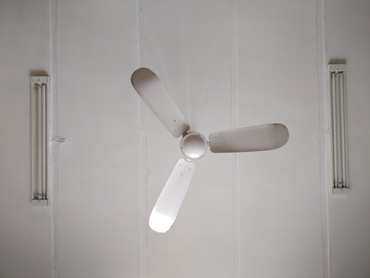 Ceiling Fans