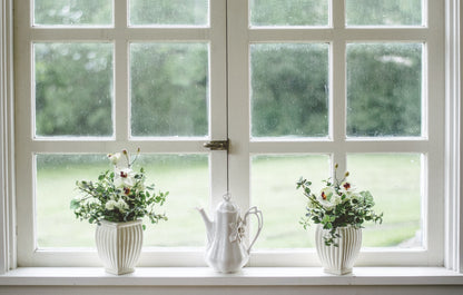 Interior & Exterior Window Cleaning